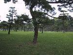 9img_2767.jpg 5.23k