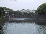 9img_2768.jpg 3.90k