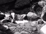 9IMG_2280.jpg 5.16k