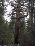 9IMG_2298.jpg 5.15k