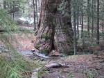 9IMG_2321.jpg 5.60k