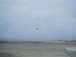9IMG_1966.jpg 1.45k