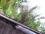 9IMG_0280.jpg 22.92k