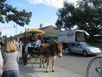 9IMG_0300.jpg 22.65k