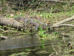 9IMG_0349.jpg 23.23k