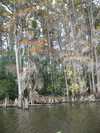 9IMG_0364.jpg 21.32k