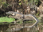 9IMG_0372.jpg 24.19k