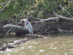9IMG_0397.jpg 20.57k