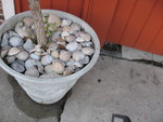 9IMG_0439.jpg 18.38k