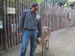 9deer_capture.jpg 11.43k