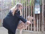 9molesting_bambi.jpg 12.15k