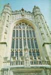 9bath_cath2.jpg 11.75k