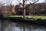 9sals_avon.jpg 11.00k