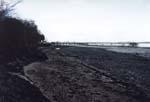 9shotley_beach.jpg 8.34k
