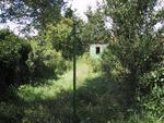 9IMG_3534.jpg 14.91k