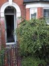 9IMG_3539.jpg 15.66k