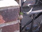 9IMG_3542.jpg 11.46k
