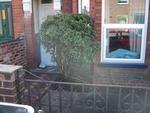 9IMG_3544.jpg 12.02k