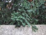 9IMG_3406.jpg 13.84k