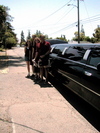 9IMG_4531.jpg 18.85k