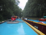 9IMG_4554.jpg 26.45k