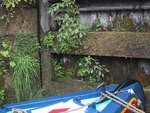 9IMG_4575.jpg 17.91k