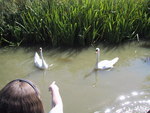 9IMG_4635.jpg 14.23k
