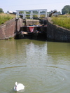 9FIMG_3517.jpg 18.82k