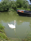 9FIMG_3547.jpg 20.24k