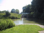 9IMG_4656.jpg 12.99k