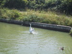 9IMG_4668.jpg 13.97k