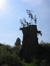 9FIMG_3645.jpg 15.06k