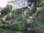 9IMG_4746.jpg 16.47k