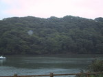 9IMG_4939.jpg 9.81k