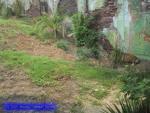 9dr102-0224_IMG.jpg 4.56k