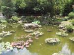 9lk107-0736_IMG.jpg 5.41k
