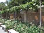 9lk108-0839_IMG.jpg 6.06k