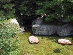 9lk108-0842_IMG.jpg 5.23k