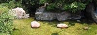 9sgarden_pool_pan.jpg 10.46k