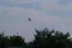 9trDSCF0075.jpg 2.03k