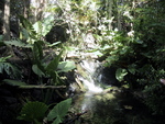 9IMG_5971.jpg 25.19k