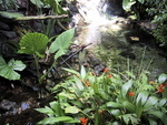 9IMG_5972.jpg 28.10k