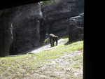 9IMG_5985a.jpg 32.02k