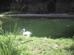 9IMG_5999.jpg 20.38k