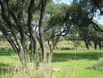 9IMG_6006.jpg 25.42k