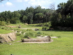 9IMG_6008.jpg 22.23k