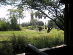 9IMG_6014.jpg 23.63k