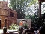 9IMG_6047.jpg 25.93k