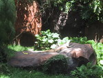 9IMG_6059.jpg 15.57k