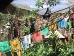 9IMG_6065.jpg 30.32k